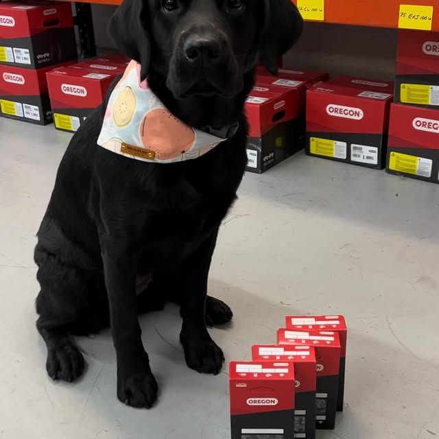 Post by westcoastsaw