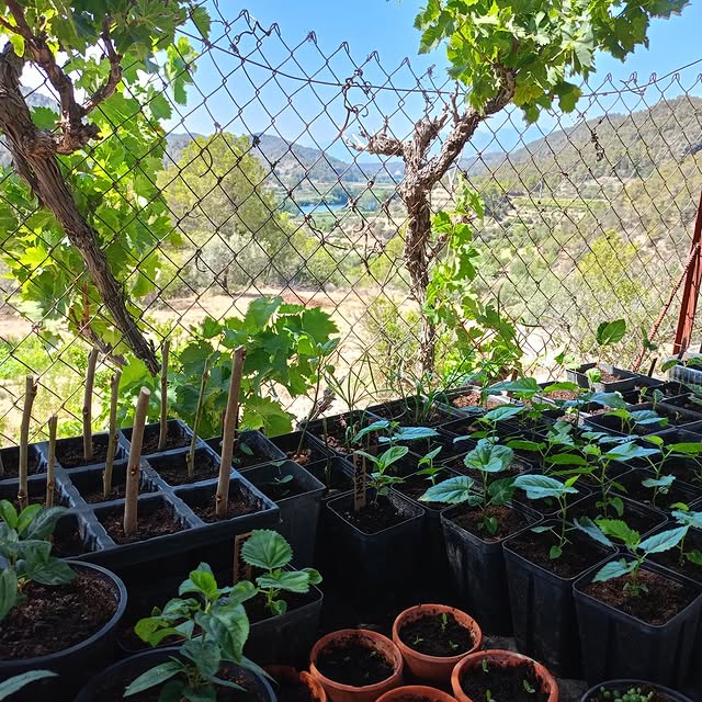 Post by creative_gardening_spain