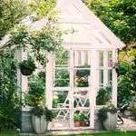 Maija's profile picture