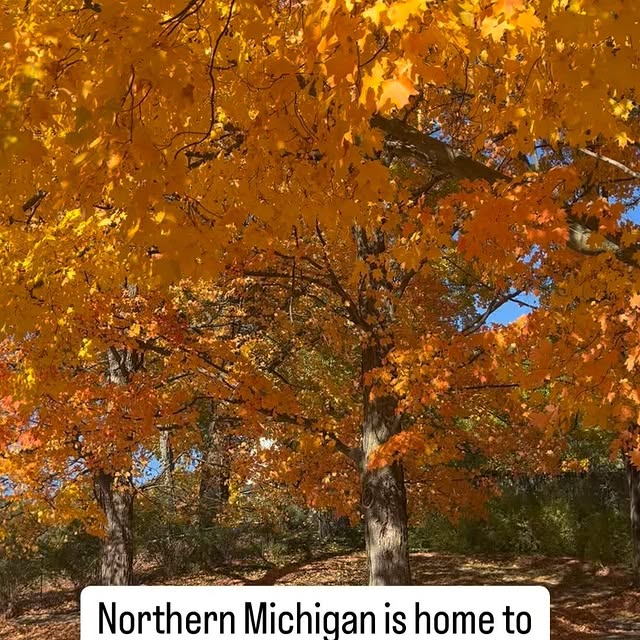 Post by gosiliproducts