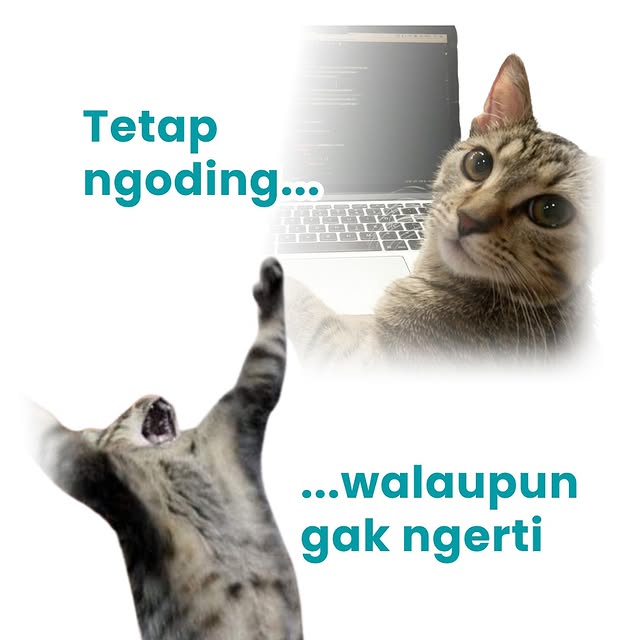 Post by codingstudio.id