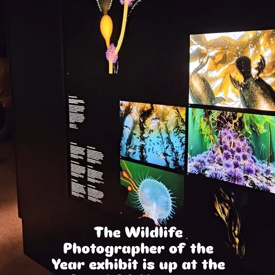 Post by shanegrossphoto