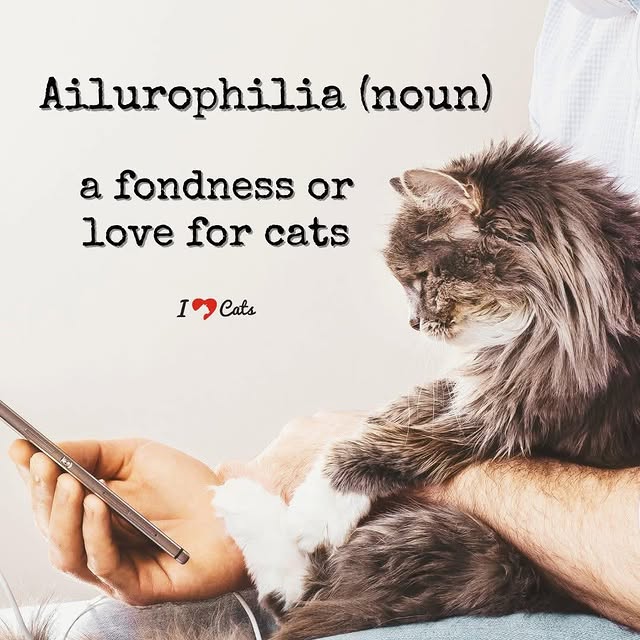 Post by furbabyfriend