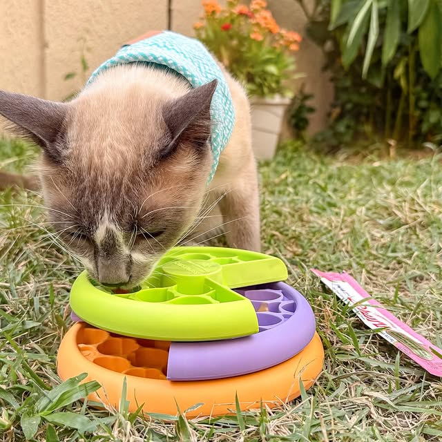 Post by goldenretriever_lotus