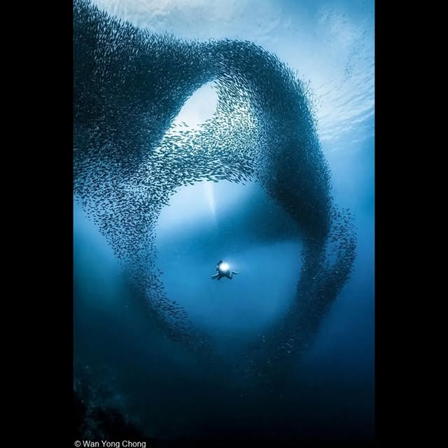 Post by zhuzhu_swazeny