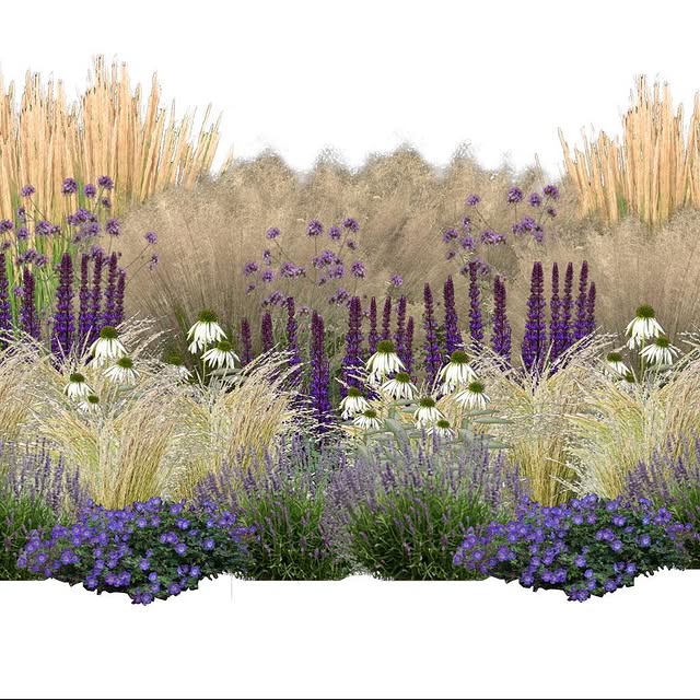 Post by gardenroom.kp