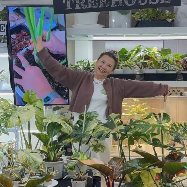 Post by mama.treehouse