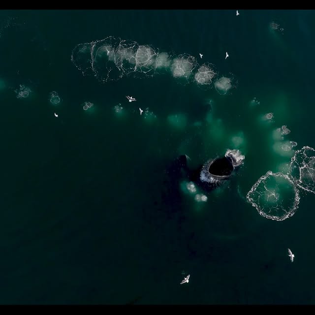 Post by mattysmithphoto