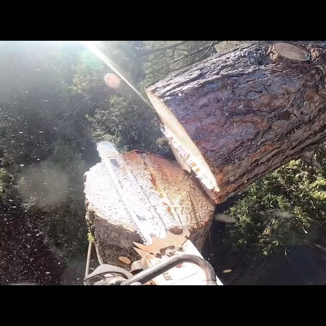 Post by urlocallumberjill