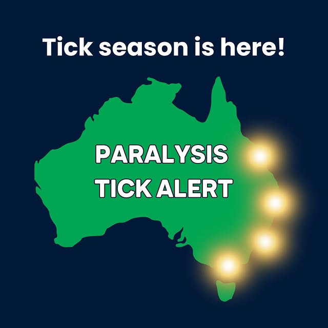 Post by greencrossvets