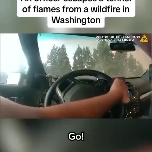 Post by i.am.forgedbyfire