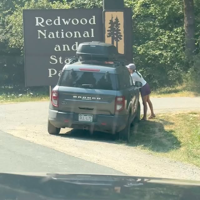 Post by westcoastsaw