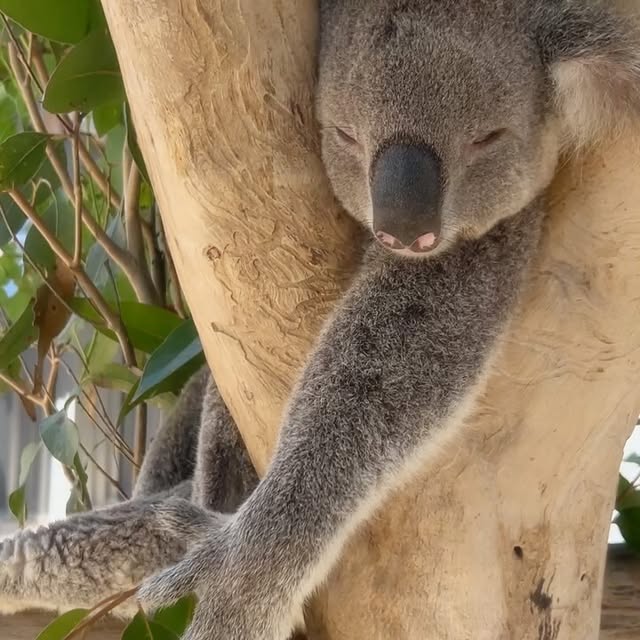 Post by ranjithaganesh