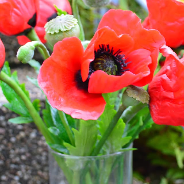 Post by marinaorlova_flowers