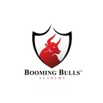 Booming Bulls's profile picture
