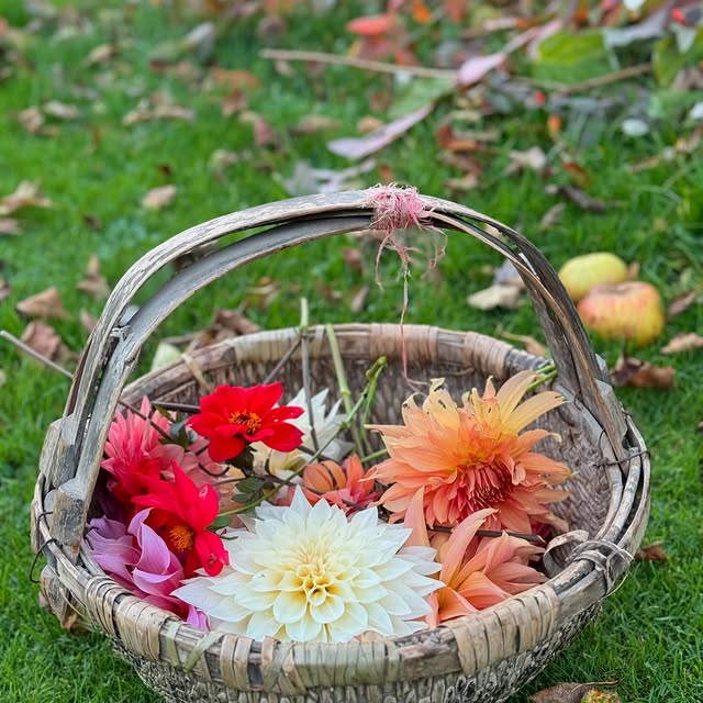 Post by theoscarcollective