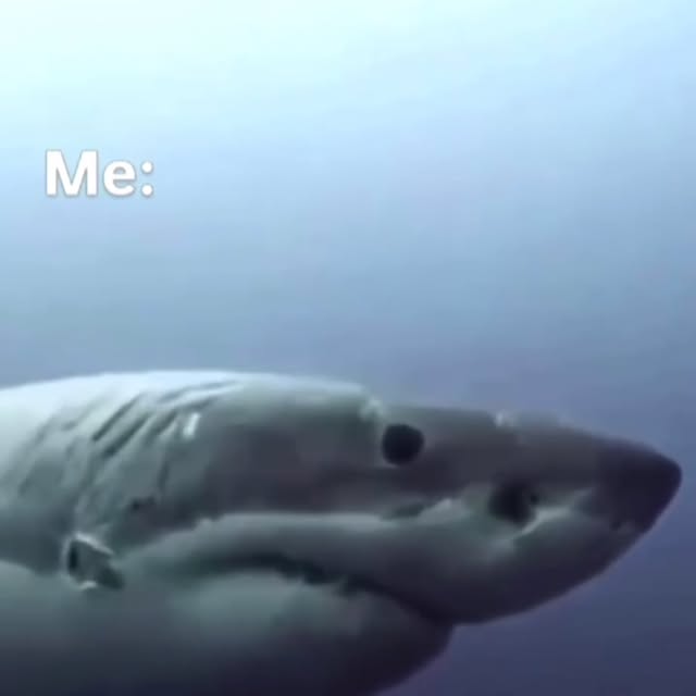 Post by richtradersfx