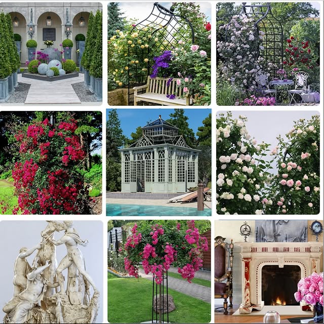 Post by classic_garden_e