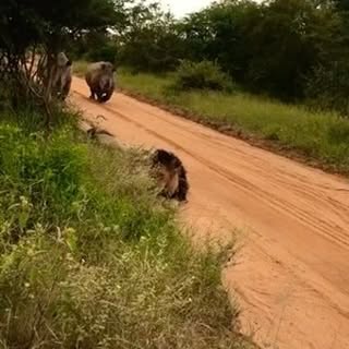 Post by officialtalesofafrica