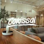 The Colossal Studio's profile picture