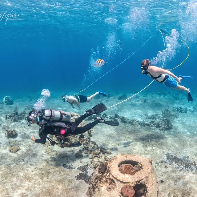 Post by brett_hoelzer