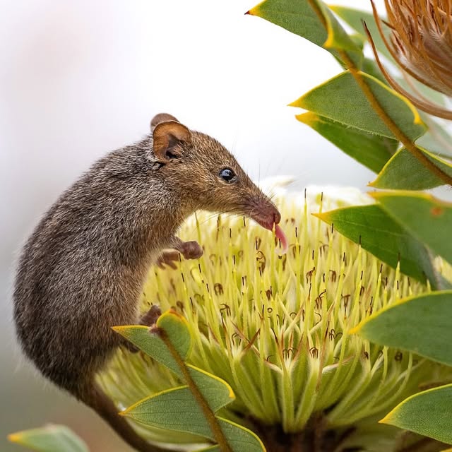 Post by jakewiltonphoto