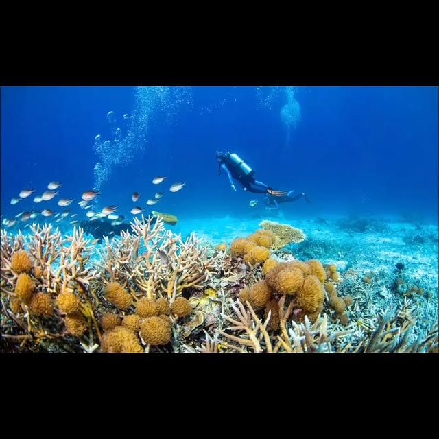 Post by awprivatetravel