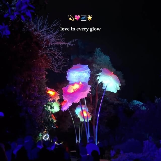 Post by josslynn_lsx