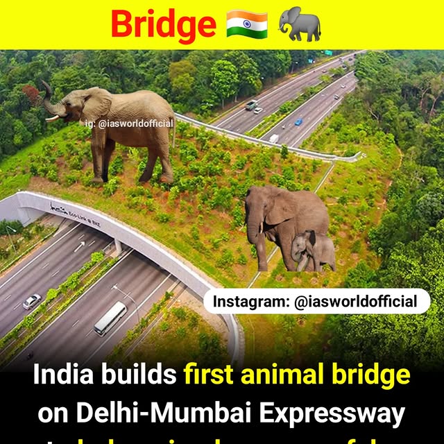 Post by iasworldofficial