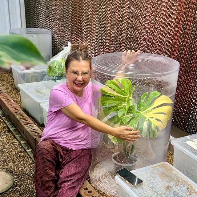 Post by mama.treehouse