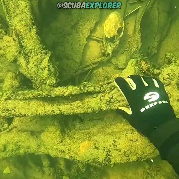 Post by scuba_diving_iglover