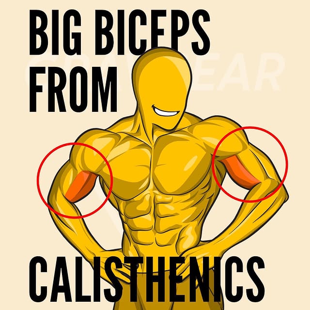 Post by calisthenics_lords