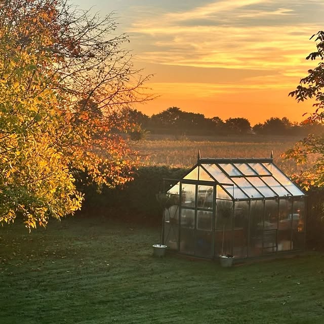 Post by rhinogreenhouses