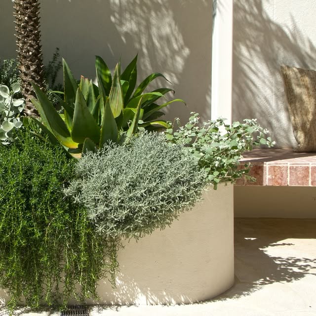 Post by bondilandscapes