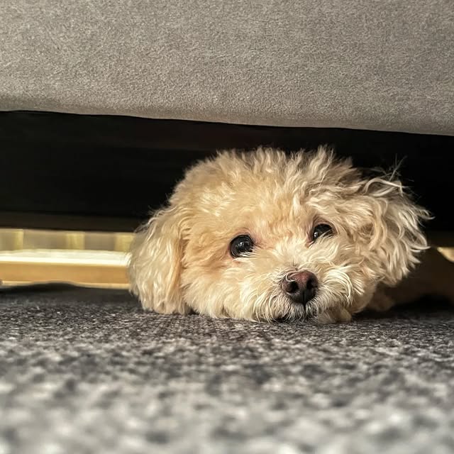 Post by sherrainelaw