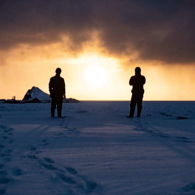 Post by shota_gorillahouse