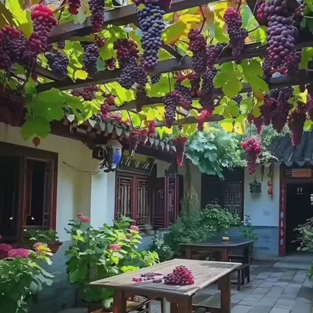 Post by daily_gardening_life