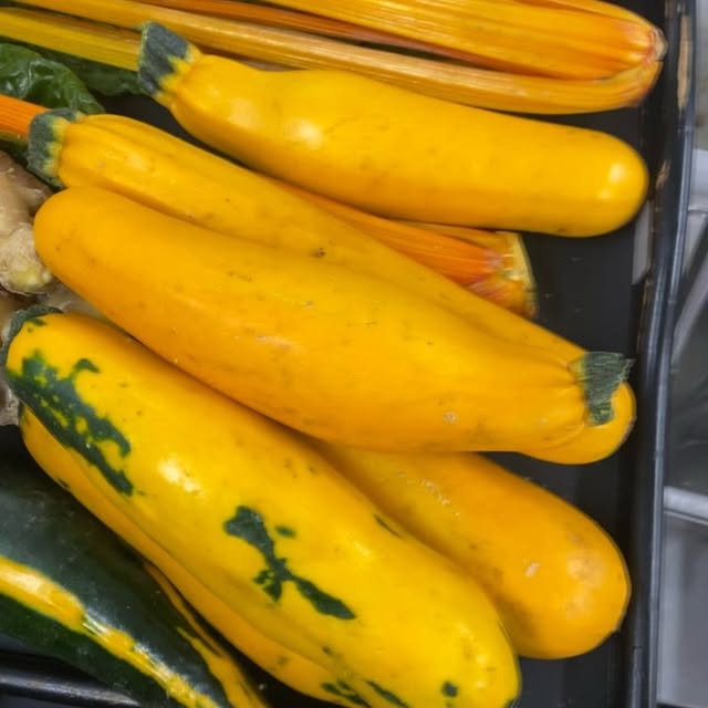 Post by david_toutain