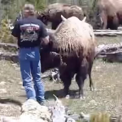 Post by touronsofyellowstone