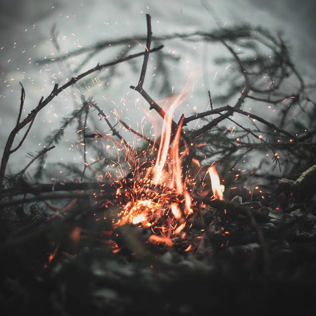 Post by mumsofthehills