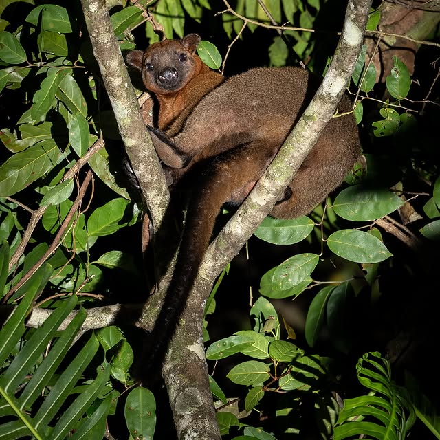 Post by jakewiltonphoto