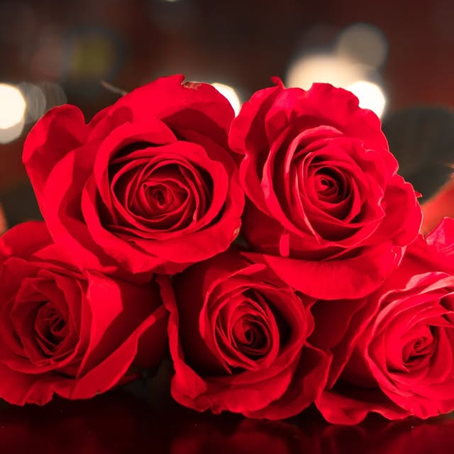 Post by casinogranvia