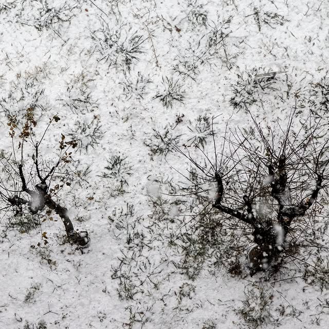 Post by gallerys_photo