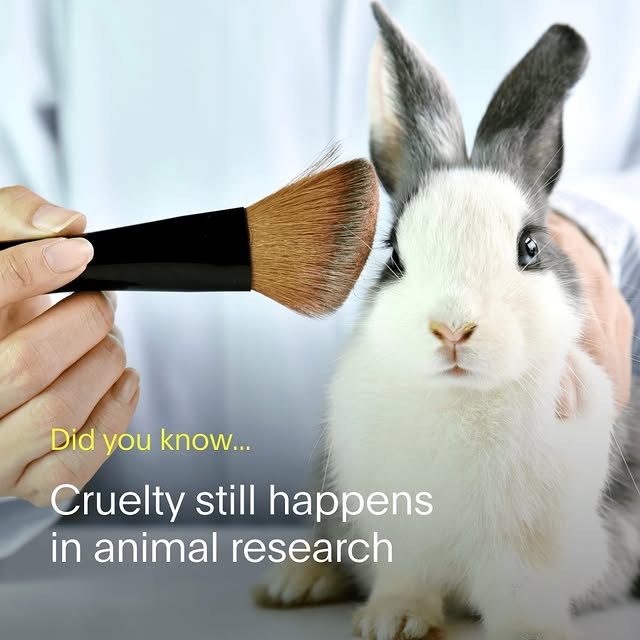 Post by australianethical