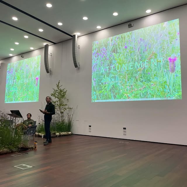 Post by danpearsonstudio