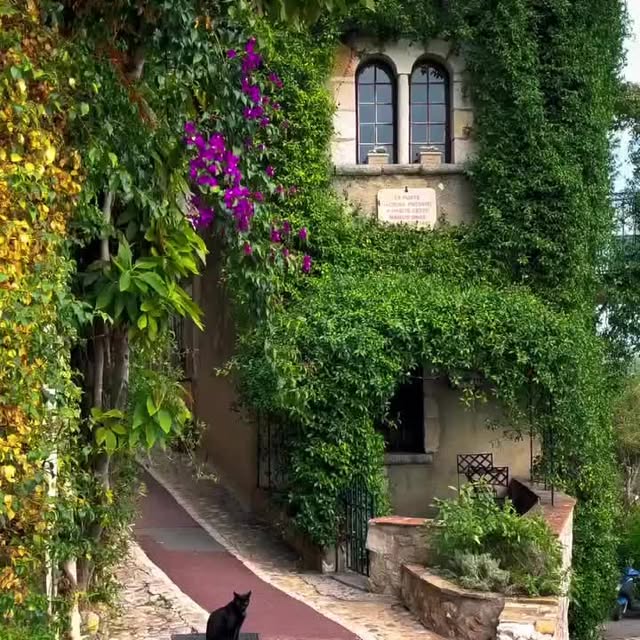 Post by gardening.paeet