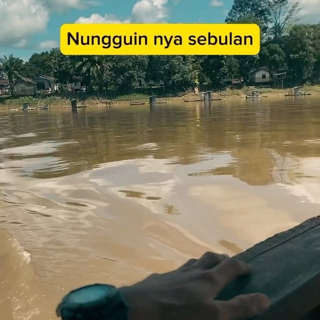 Post by lokerkalimantanbarat