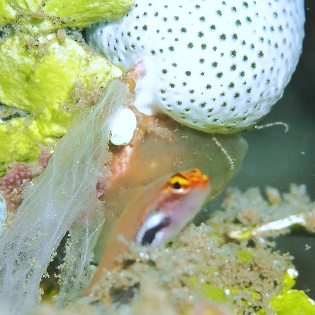 Post by critter.hunter