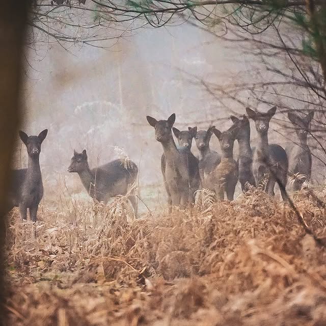 Post by our_country_life_photography