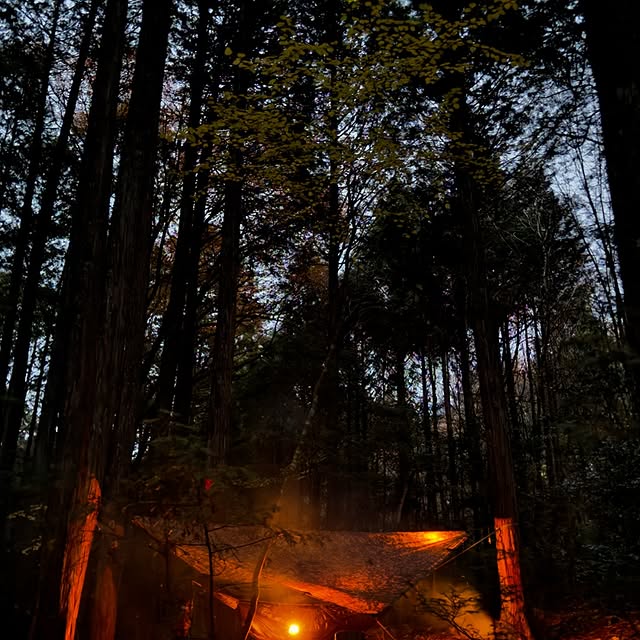 Post by j_pot_camp78